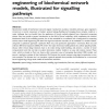 A structured approach for the engineering of biochemical network models, illustrated for signalling pathways