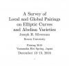 A Survey of Local and Global Pairings on Elliptic Curves and Abelian Varieties