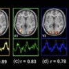 An information-based clustering approach for fMRI activation detection