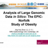 Analysis of Large Genomic Data in Silico: The EPIC-Norfolk Study of Obesity