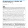 Circadian signatures in rat liver: from gene expression to pathways