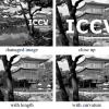 Curvature Regularity for Region-based Image Segmentation and Inpainting: A Linear Programming Relaxation