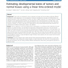 Estimating developmental states of tumors and normal tissues using a linear time-ordered model