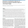 Evaluation of methods for detection of fluorescence labeled subcellular objects in microscope images