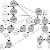 Exploiting qualitative domain knowledge for learning Bayesian network parameters with incomplete data