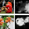Top-Down Color Attention for Object Recognition