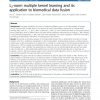 L2-norm multiple kernel learning and its application to biomedical data fusion