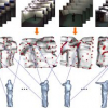 Learning 4D action feature models for arbitrary view action recognition