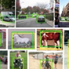 Part and Appearance Sharing: Recursive Compositional Models for Multi-View Multi-Object Detection