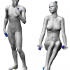 Posture Invariant Surface Description and Feature Extraction