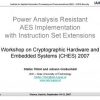 Power Analysis Resistant AES Implementation with Instruction Set Extensions