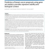 Prediction of breast cancer prognosis using gene set statistics provides signature stability and biological context