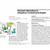 Proxemic interactions in ubiquitous computing ecologies