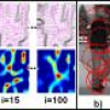 Scale-invariant medial features based on gradient vector flow fields