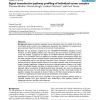Signal transduction pathway profiling of individual tumor samples
