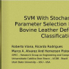 SVM with Stochastic Parameter Selection for Bovine Leather Defect Classification