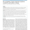The complexity of gene expression dynamics revealed by permutation entropy