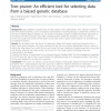Tree Pruner: An efficient tool for selecting data from a biased genetic database