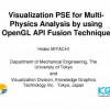 Visualization PSE for Multi-Physics Analysis by Using OpenGL API Fusion Technique