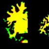 Voting-based active contour segmentation of fMRI images of the brain
