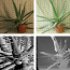 Illumination and Camera Invariant Stereo Matching
