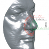 A Riemannian Analysis of 3D Nose Shapes For Partial Human Biometrics