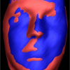 3D Shape-based Face Recognition using Automatically Registered Facial Surfaces