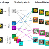 Similarity Functions for Categorization: from Monolithic to Category Specific