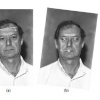 A comparison of discrete and continuous output modeling techniques for a pseudo-2D hidden Markov model face recognition system