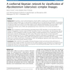 A conformal Bayesian network for classification of Mycobacterium tuberculosis complex lineages