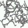 A geometric flow for white matter fibre tract reconstruction