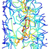 A geometric method for automatic extraction of sulcal fundi