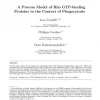 A Process Model of Rho GTP-binding Proteins in the Context of Phagocytosis