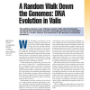 A Random Walk Down the Genomes: DNA Evolution in Valis