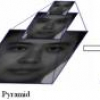 A Study of Face Recognition as People Age