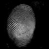 An Adaptive Multiresolution Approach to Fingerprint Recognition