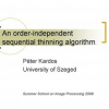 An Order-Independent Sequential Thinning Algorithm