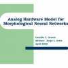 Analog Hardware Model for Morphological Neural Networks
