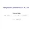 Analyse des grands graphes de terrain