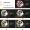 Attention-based video reframing: Validation using eye-tracking