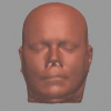 Automatic Face Recognition from Skeletal Remains