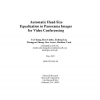 Automatic Head-size Equalization in Panorama Images for Video Conferencing