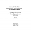 Automatic Head-size Equalization in Panorama Images for Video Conferencing