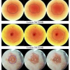 Automatic Segmentation of Skin Lesion Images using Evolutionary Strategy