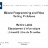 Bilevel Programming and Price Setting Problems