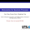 Bisimulation for quantum processes