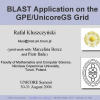 BLAST Application on the GPE/UnicoreGS Grid