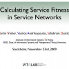 Calculating Service Fitness in Service Networks