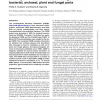 Carbohydrate structure database merged from bacterial, archaeal, plant and fungal parts