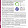 Chaotic microlasers Based on Dynamical Localization